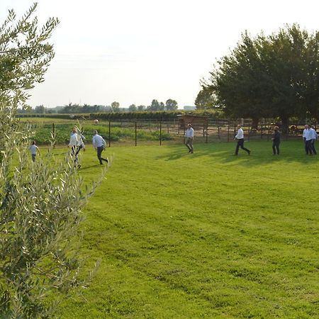 Agriturismo Al Casale ロニーゴ エクステリア 写真