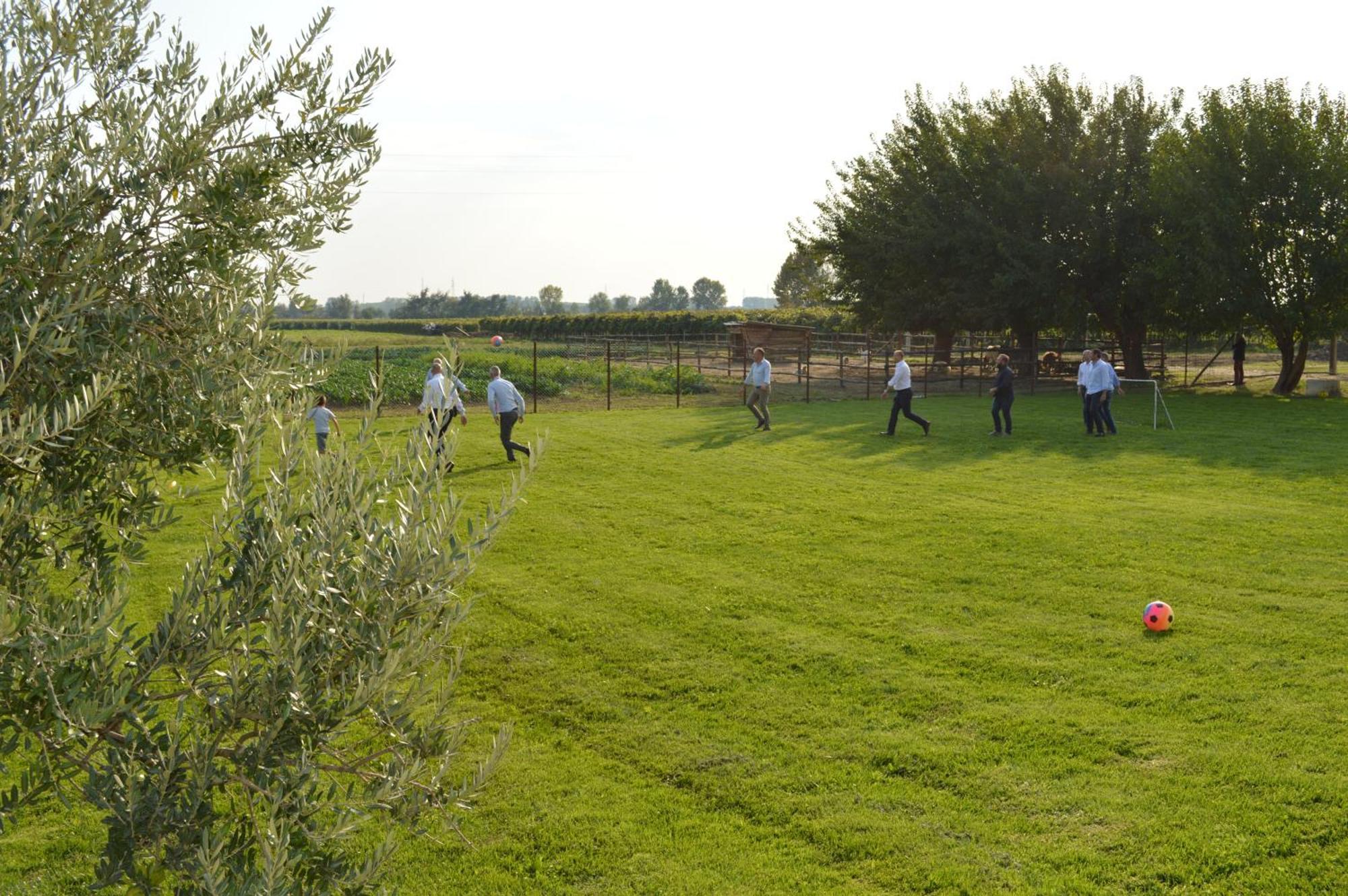 Agriturismo Al Casale ロニーゴ エクステリア 写真